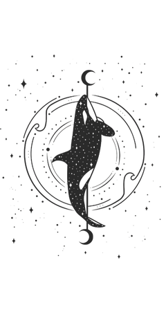 orca & moon