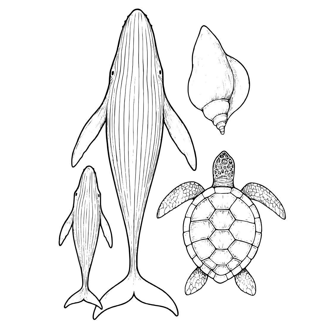 Front Gaily Bottle Tattoo Sleeve Engraving Designs Add-On Preview