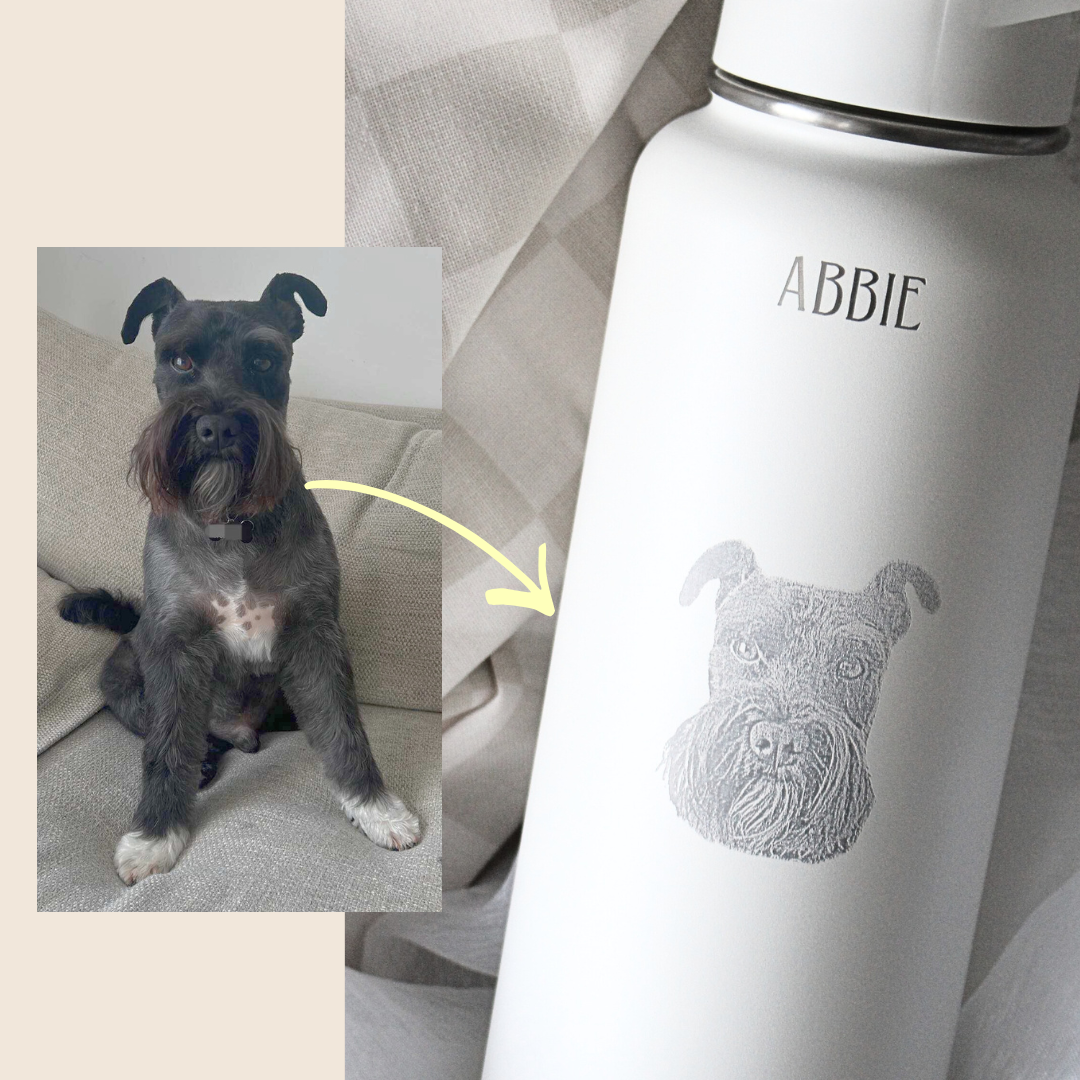 Pet Portrait Engraving Add-On