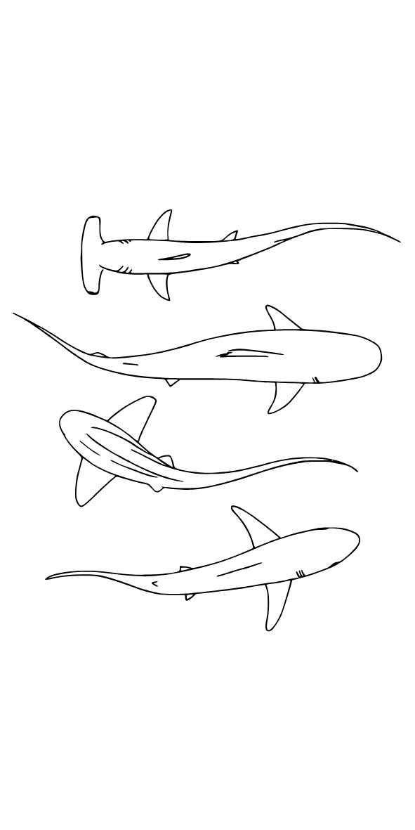 Bottle Tattoo Sleeve Engraving Designs Add-On Preview