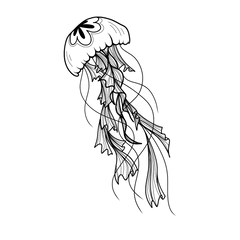 jellyfish