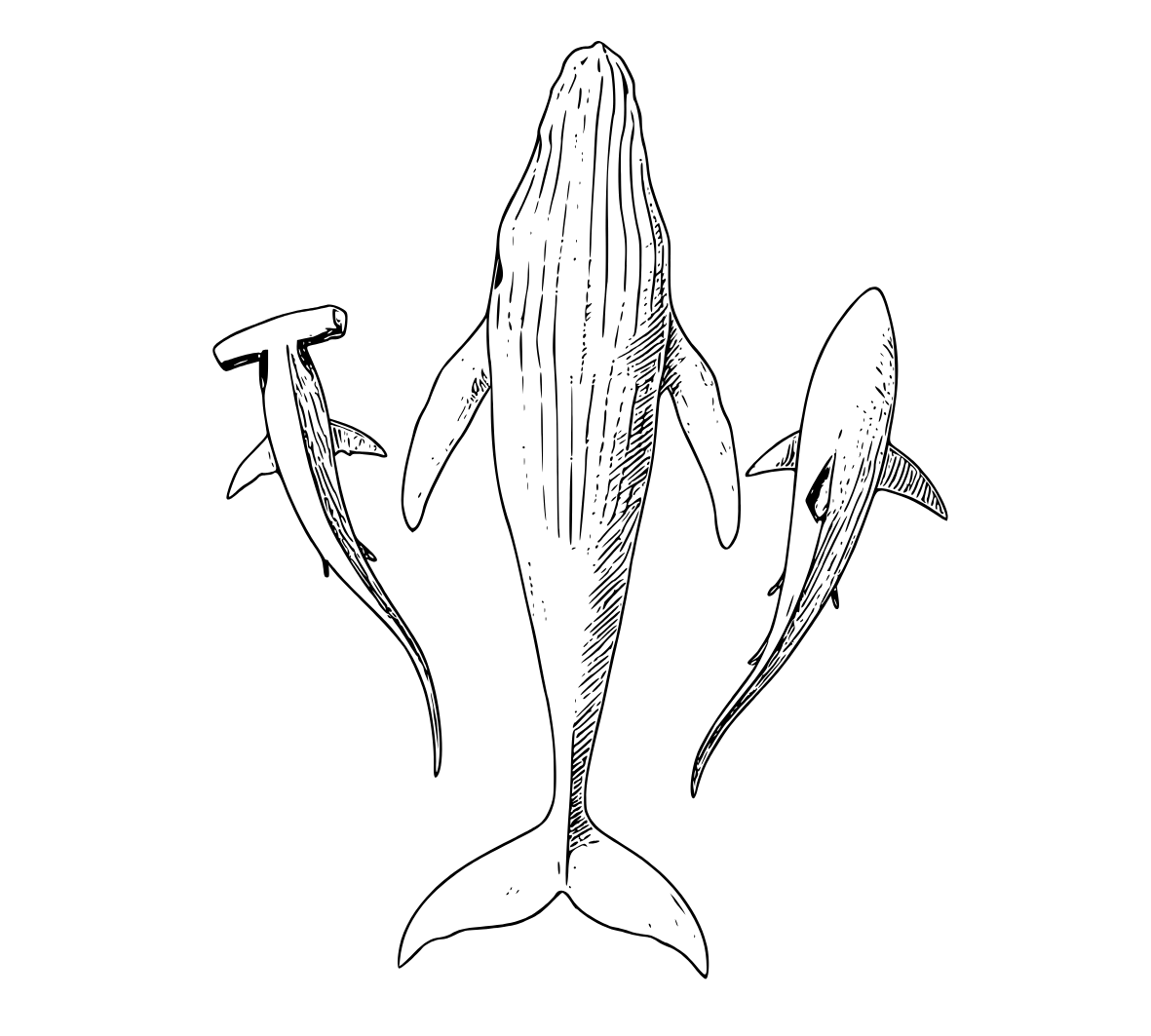 Front Gaily Bottle Tattoo Sleeve Engraving Designs Add-On Preview